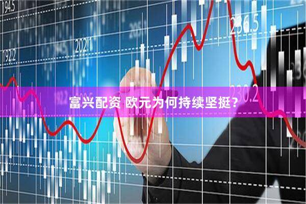 富兴配资 欧元为何持续坚挺？