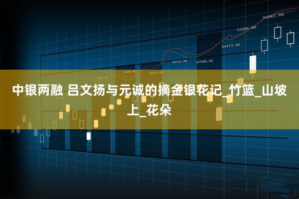 中银两融 吕文扬与元诚的摘金银花记_竹篮_山坡上_花朵