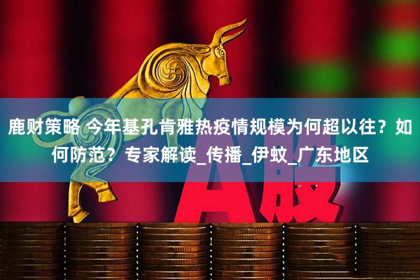 鹿财策略 今年基孔肯雅热疫情规模为何超以往？如何防范？专家解读_传播_伊蚊_广东地区