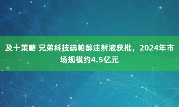 及十策略 兄弟科技碘帕醇注射液获批，2024年市场规模约4.5亿元