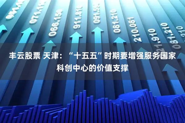 丰云股票 天津：“十五五”时期要增强服务国家科创中心的价值支撑